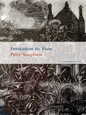 cover image of Invitation to View
